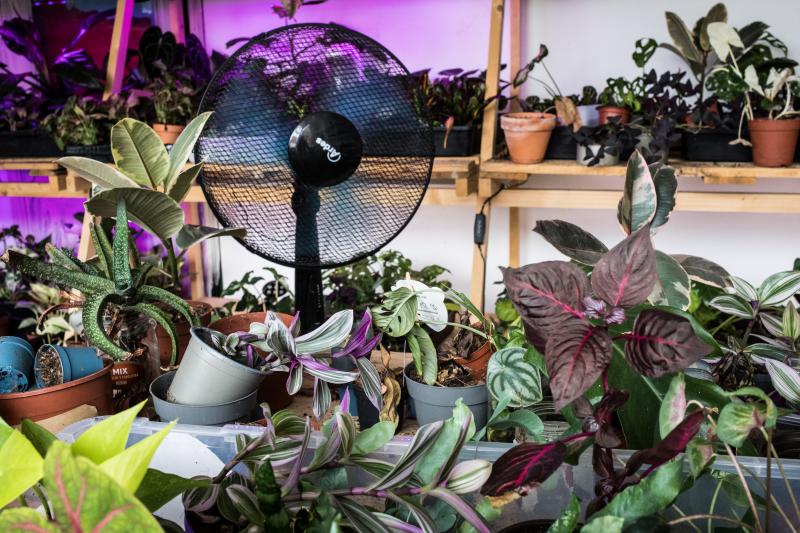 Fotos: Nace en Bilbao una innovadora comunidad digital para los amantes de las plantas