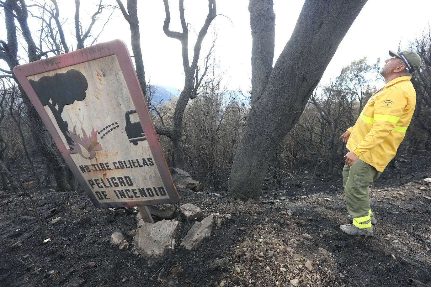 Fotos: Incendio en Sierra Bermeja