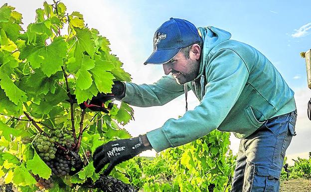 La crisis obligó a Alcalá a cambiar la obra por la agricultura. 