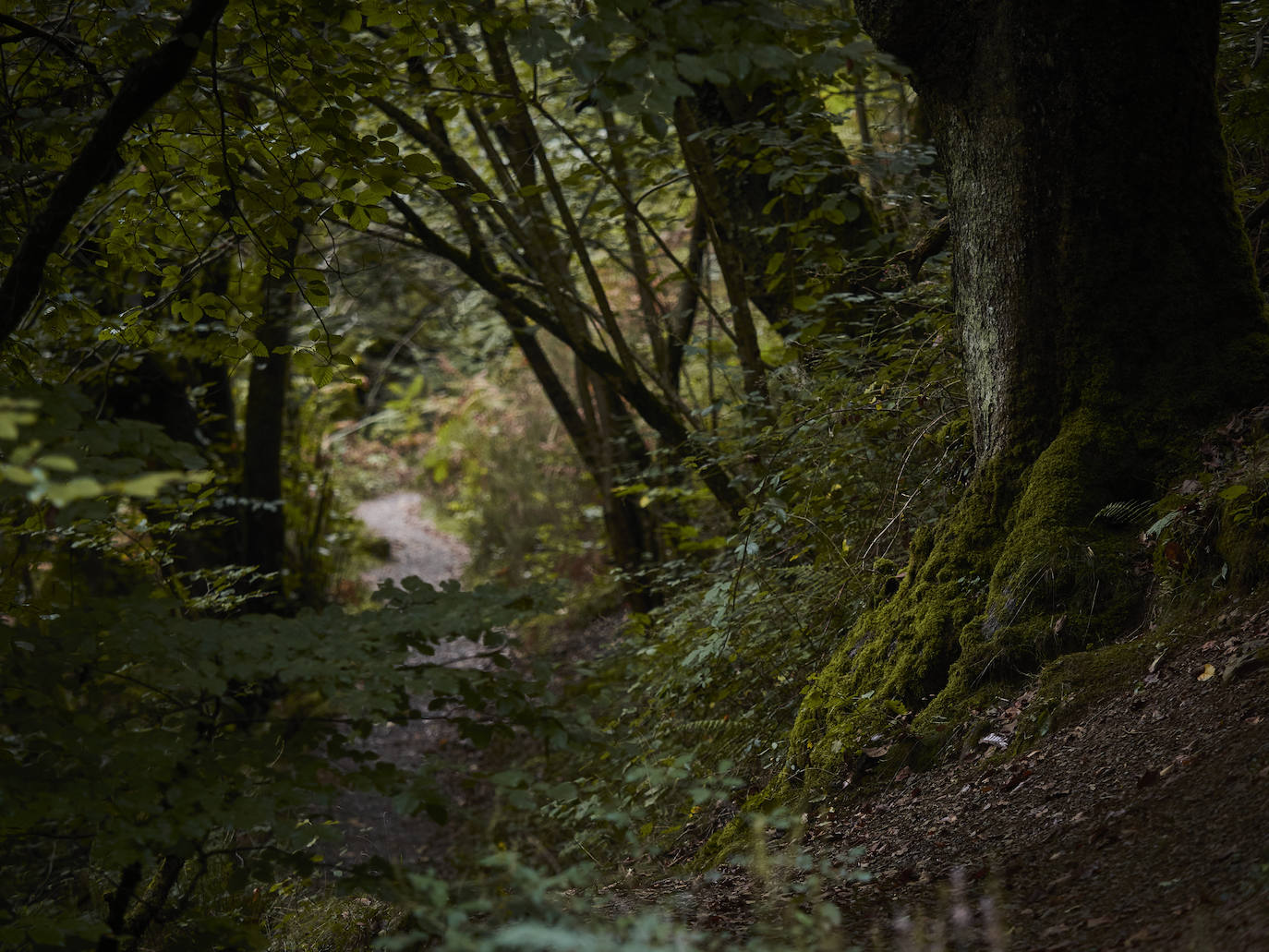 Fotos: Un viaje mágico al valle del Baztán en otoño