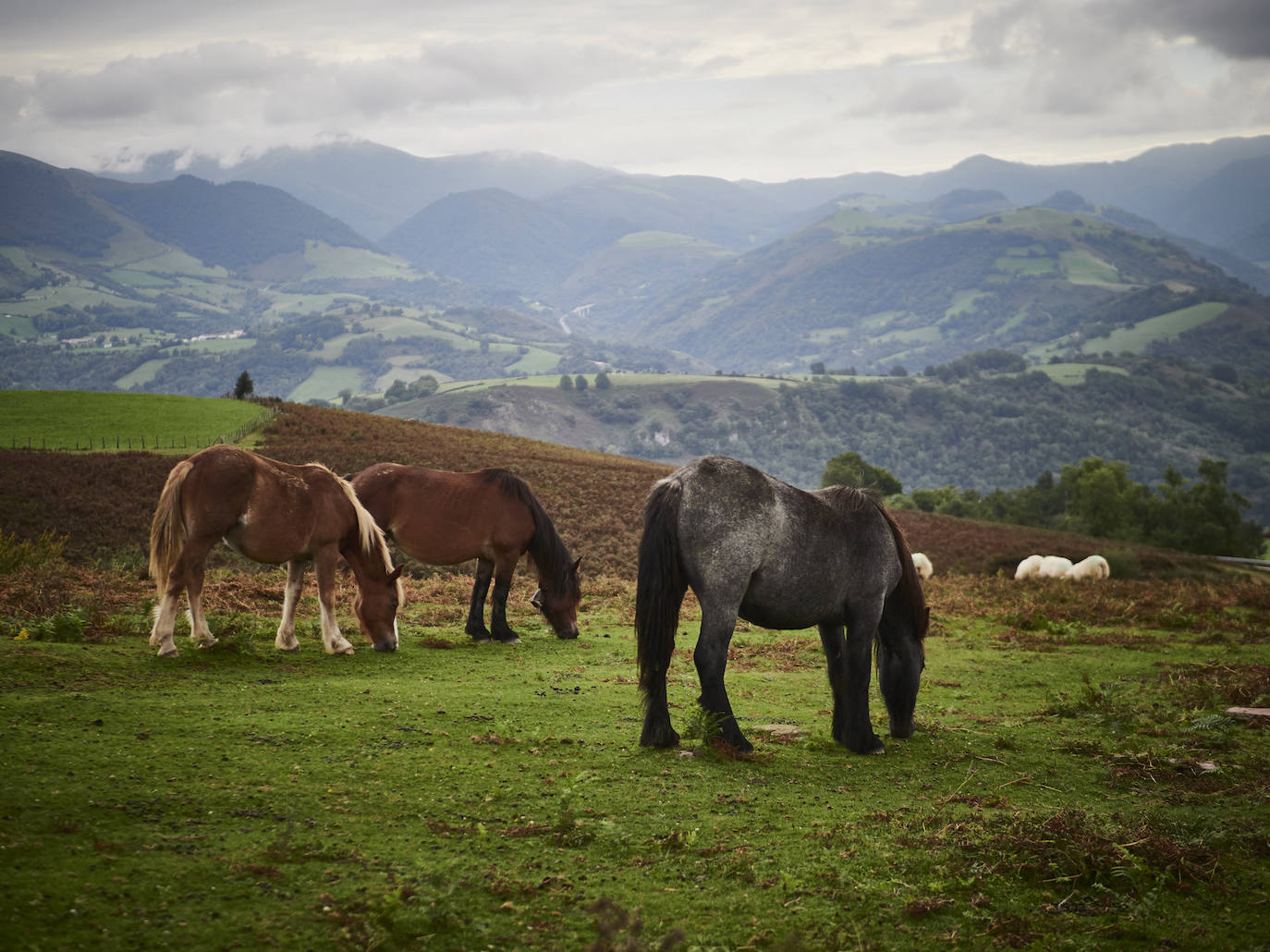 Fotos: Un viaje mágico al valle del Baztán en otoño