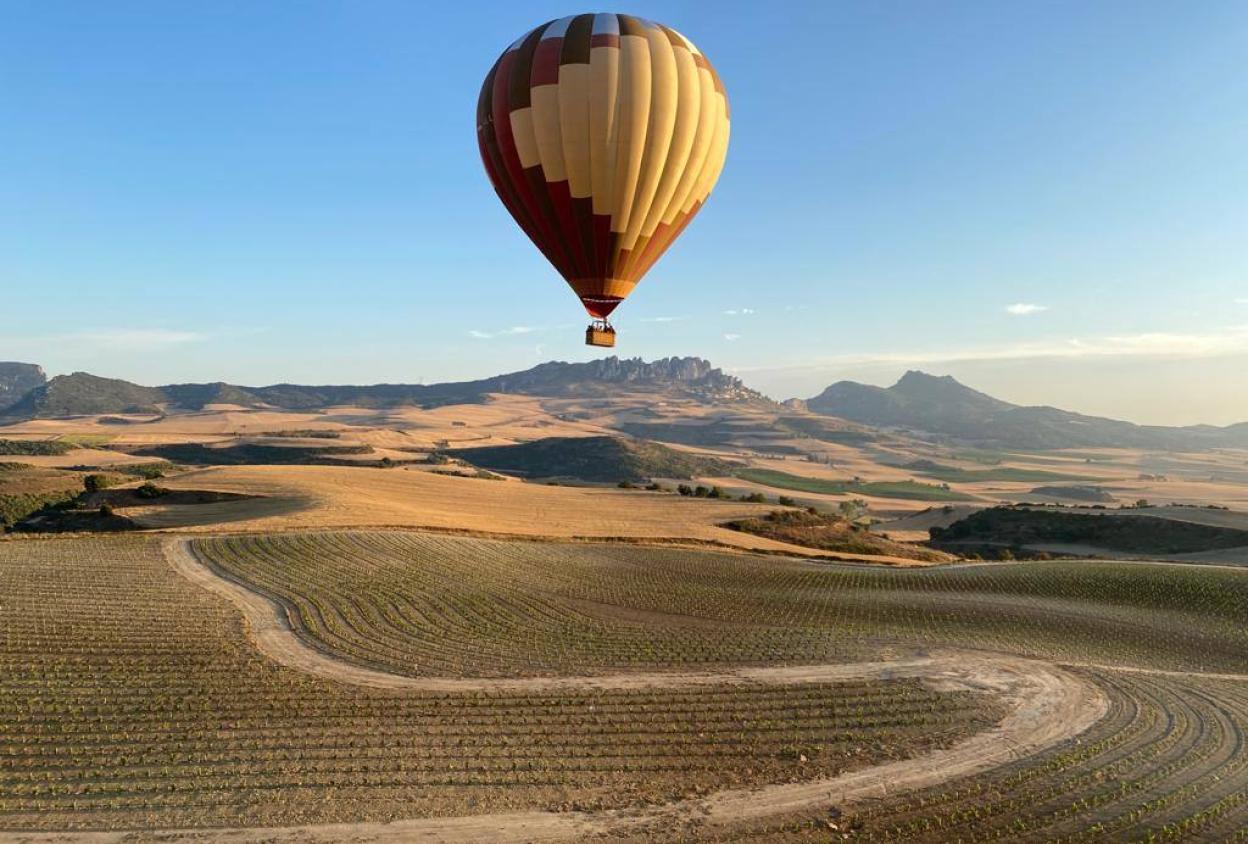 Vista del nuevo viñedo de Roda en Cellórigo, que sigue las curvas de nivel para aprovechar mejor el agua y frenar la erosión.