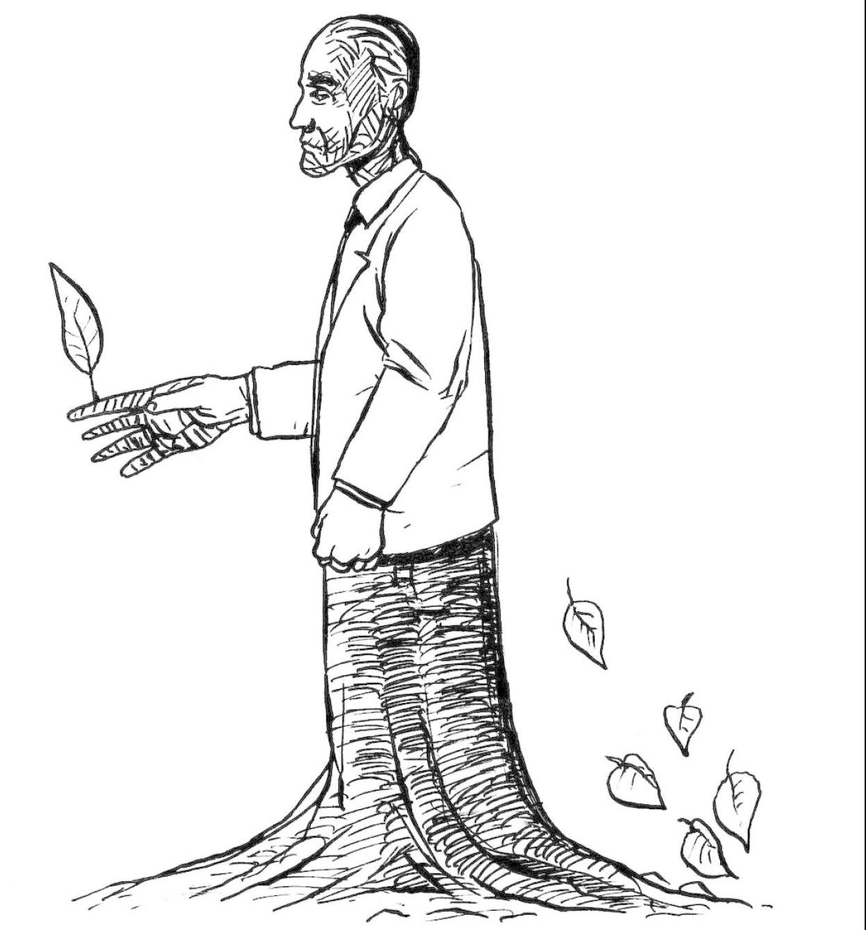 Pensiones, inicio de ruta