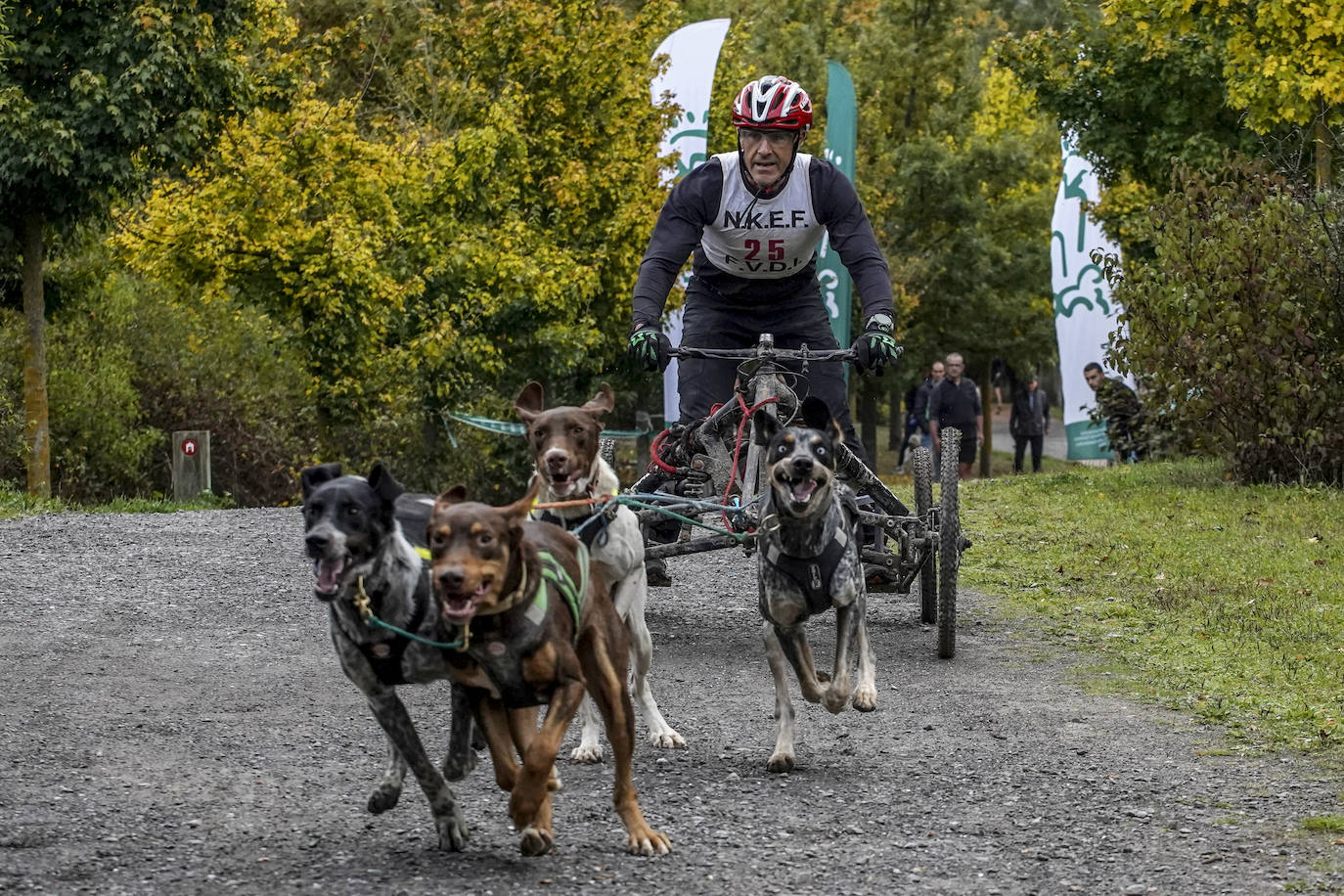 Fotos: El mushing toma el bosque de Armentia