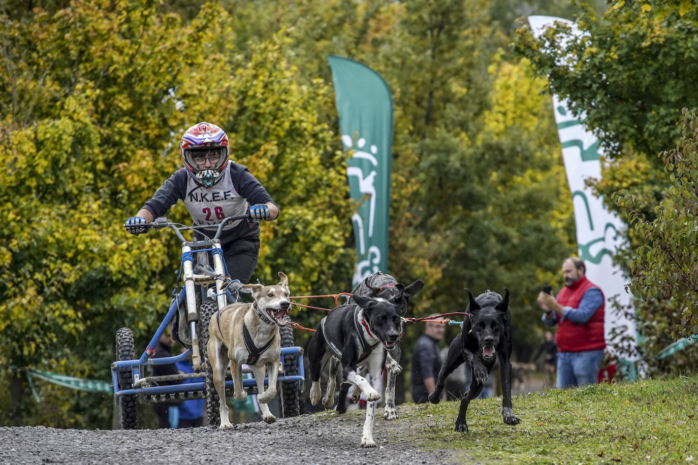 Fotos: El mushing toma el bosque de Armentia