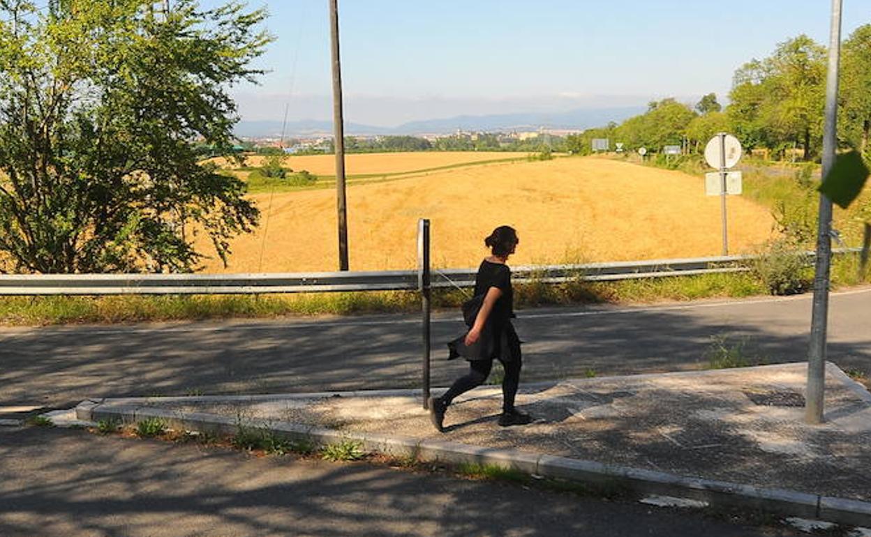 Vista de los terrenos del sector 17, junto a Armentia.