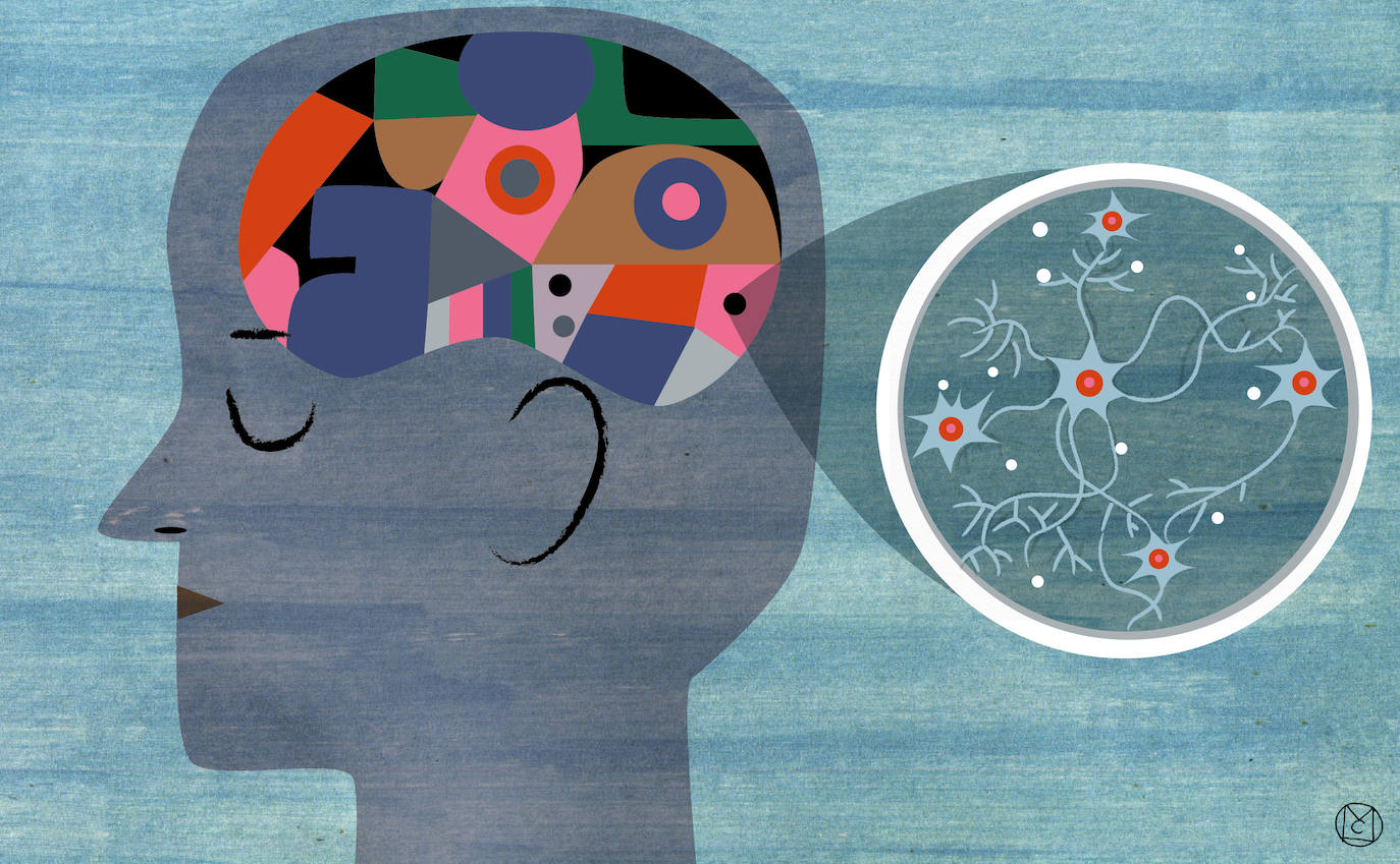 La maraña del cerebro