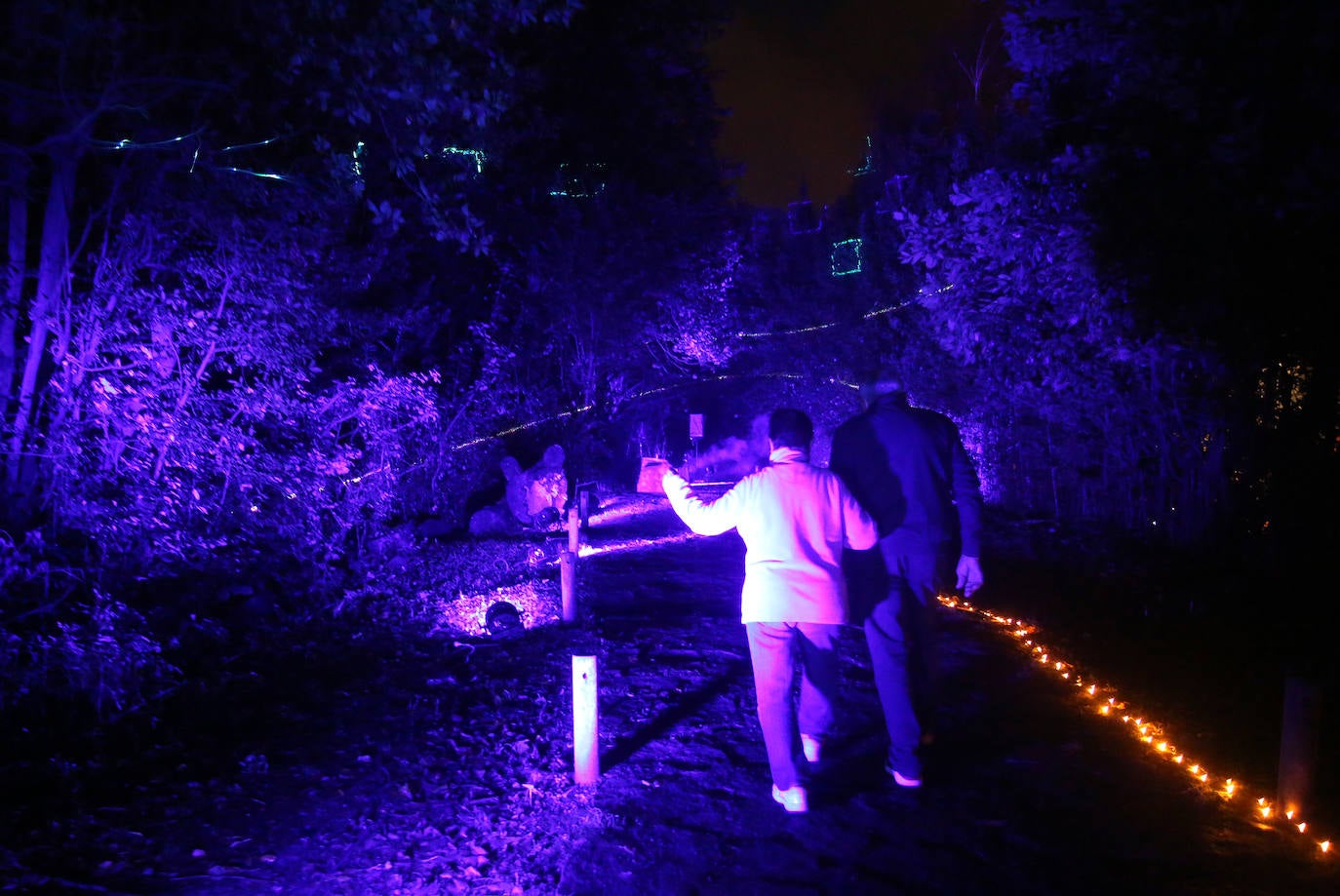 Fotos: Un lugar para soñar dentro de Leioa