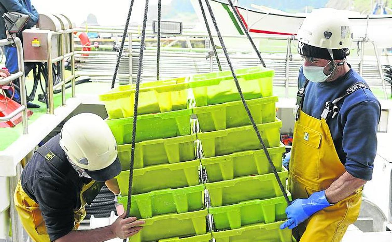 La industria pesquera explica la llegada de extranjeros a Ondarroa. 