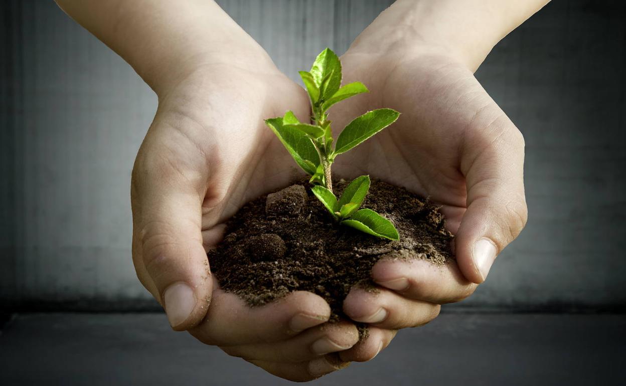 ¿Cuál es el partido vasco más verde?
