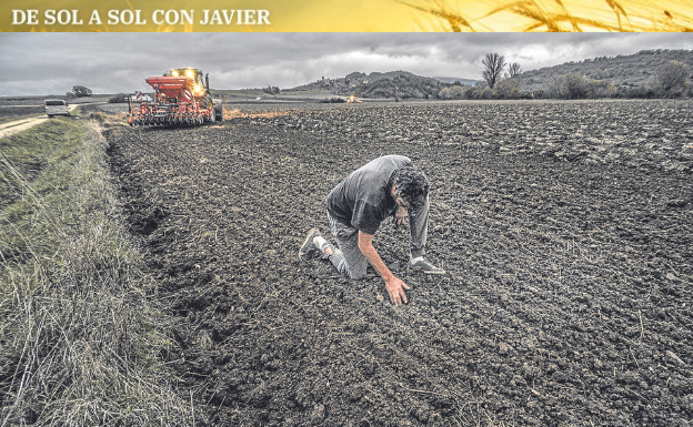 El agricultor comprueba los surcos recién sembrados. 