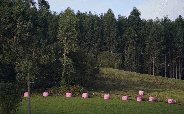 Euskadi se duele de las cicatrices en su medio ambiente