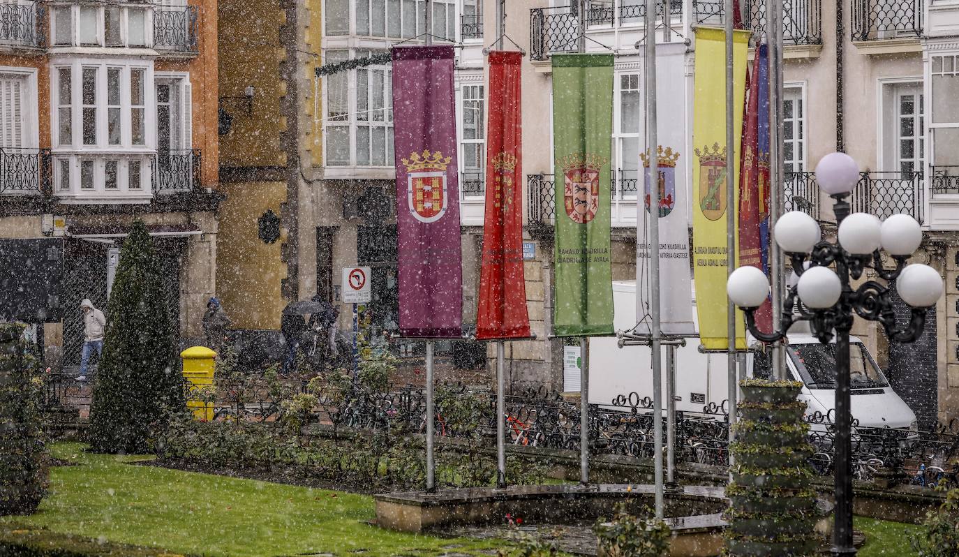 Fotos: Los primeros copos de nieve caen sobre Vitoria