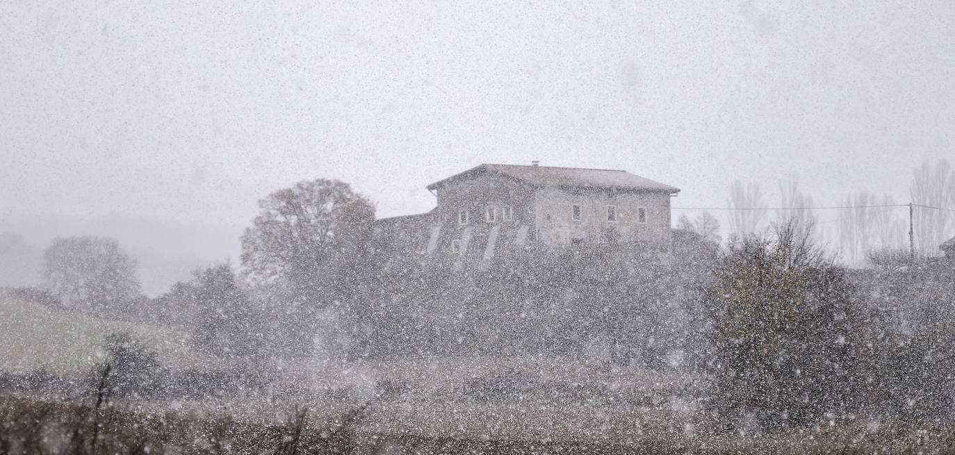 Fotos: Los primeros copos de nieve caen sobre Vitoria