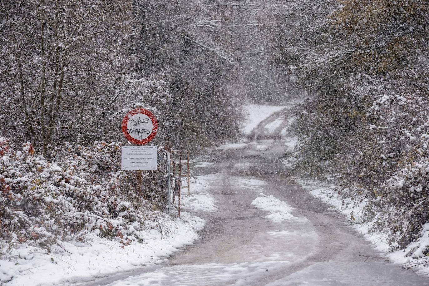 Fotos: Los primeros copos de nieve caen sobre Vitoria