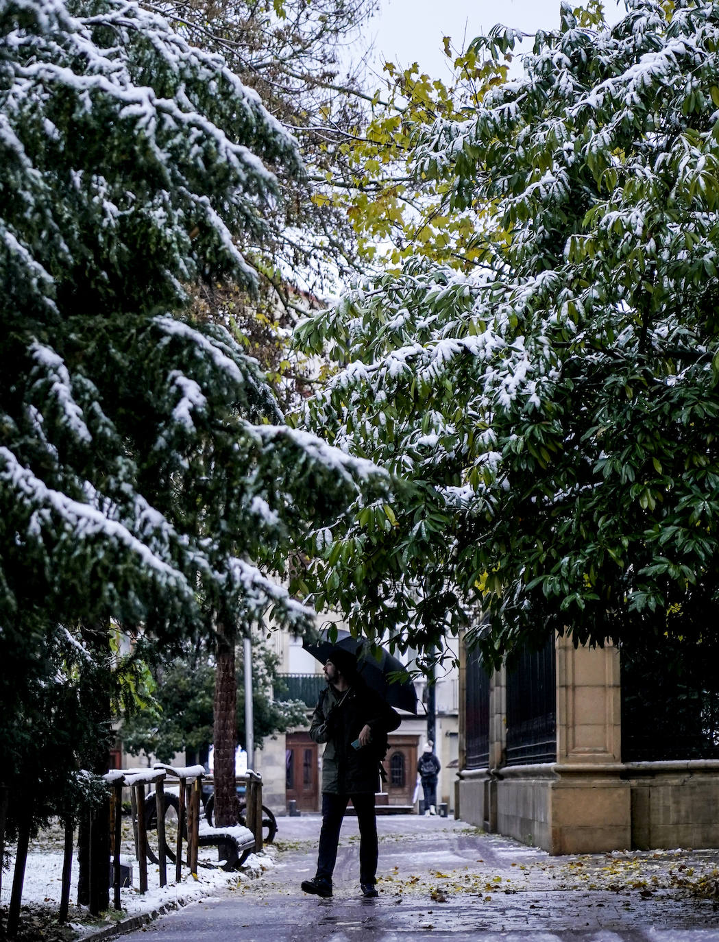 Fotos: La nieve complica el domingo en Vitoria y Álava