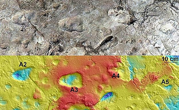 El 'nuevo' rastro homínido de Laetoli.