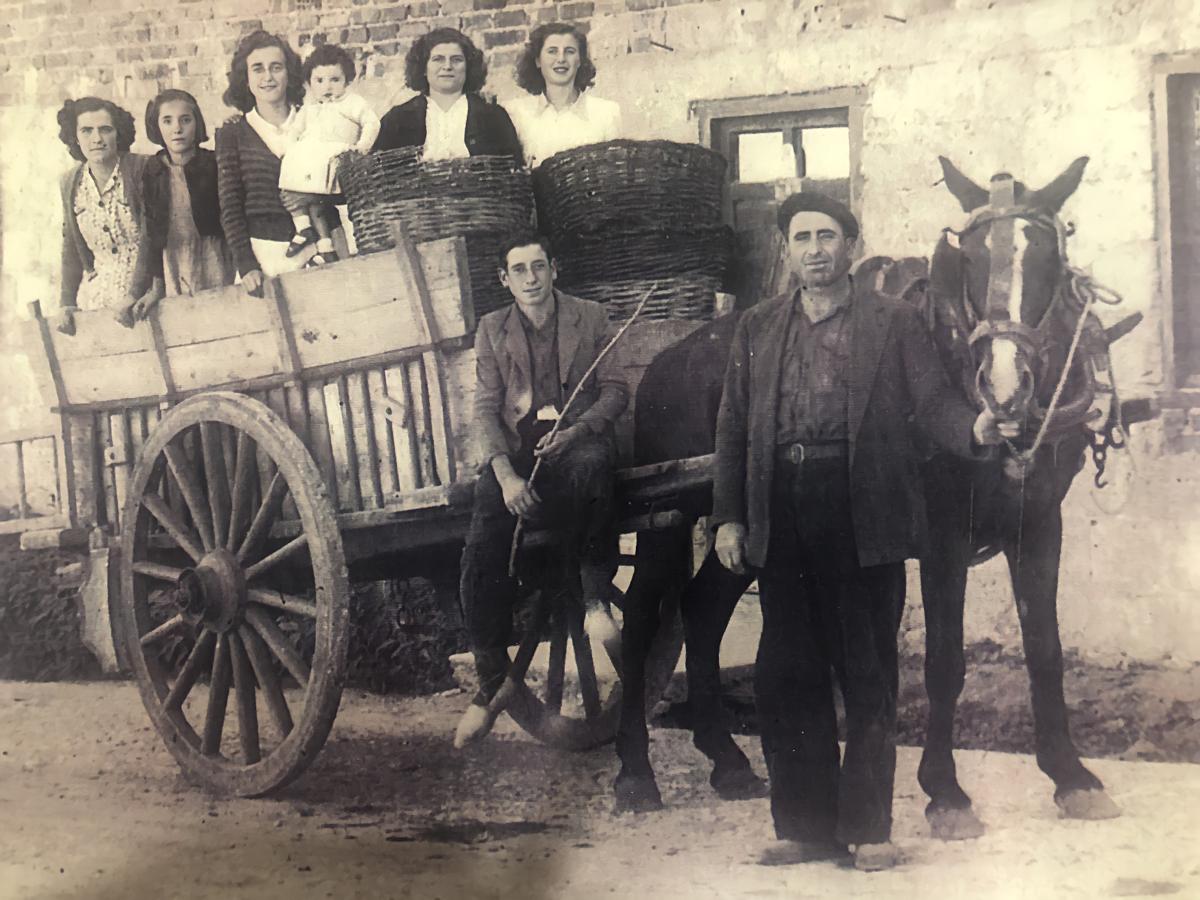 Chicas del pueblo, a finales de los 40, posan en uno de los carros que se utilizaban para las labores en el campo. 