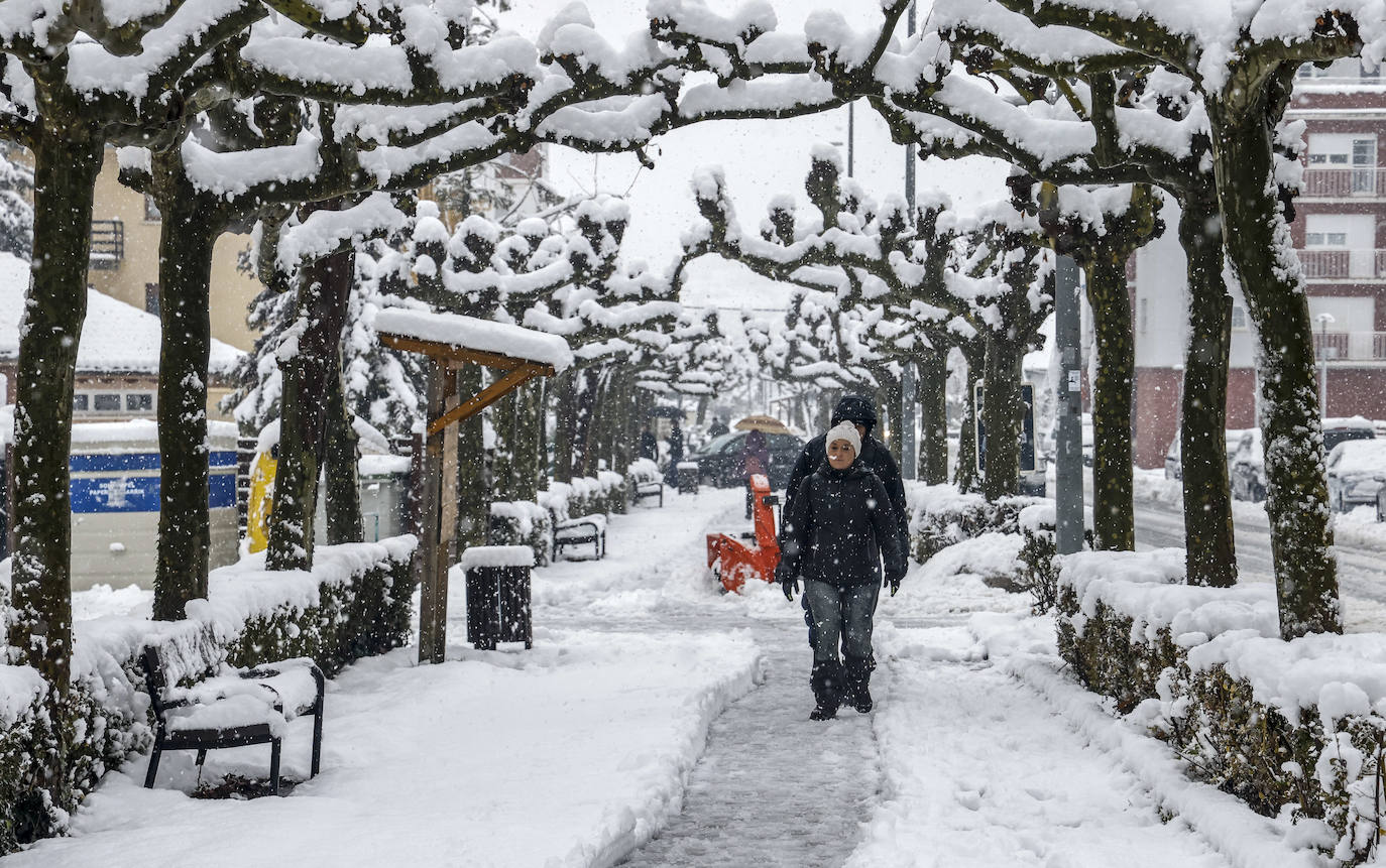 Fotos: Álava, en alerta por la lluvia, la nieve y un Zadorra desbocado