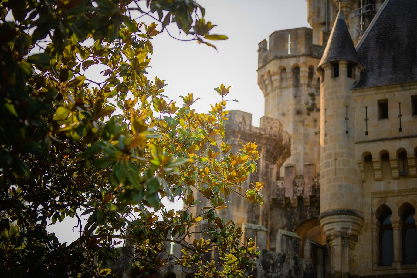 Fotos: El Castillo de Butrón a lo largo de los anos