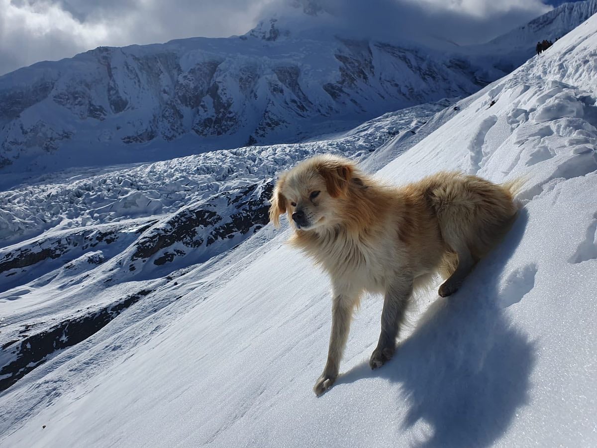 Inesperado compañero de la expedición en el CB