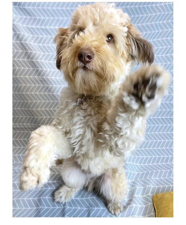 Fotos: La pareja vizcaína que rescata los colores del verano en pleno invierno con sus accesorios