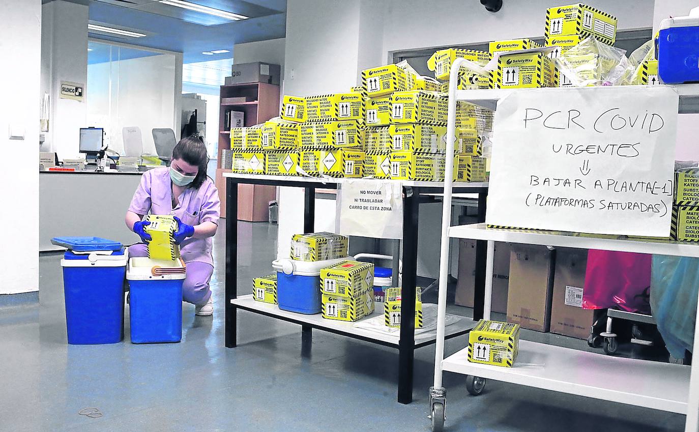 Las cajas de las PCR se acumulan en los laboratorios de Cruces, que están analizando el mayor volumen de pruebas de toda la pandemia. 