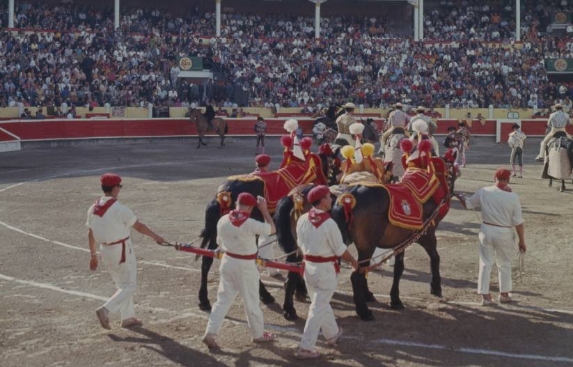 La plaza de toros Vitoria en los años 60. 