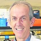 Imagen - «Lo lógico es que las nuevas variantes surjan del sustrato de ómicron, que domina»