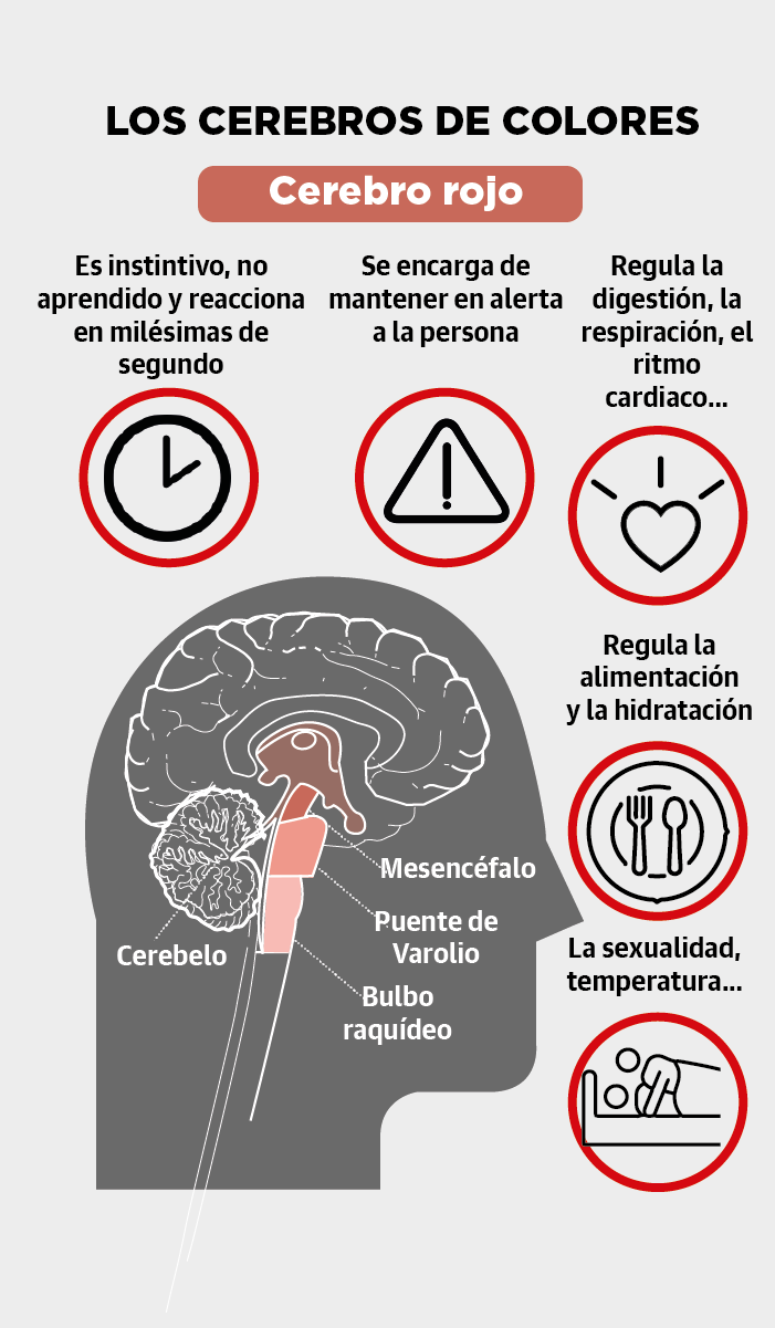 Anand: El cerebro se apaga si lo aburres mucho 