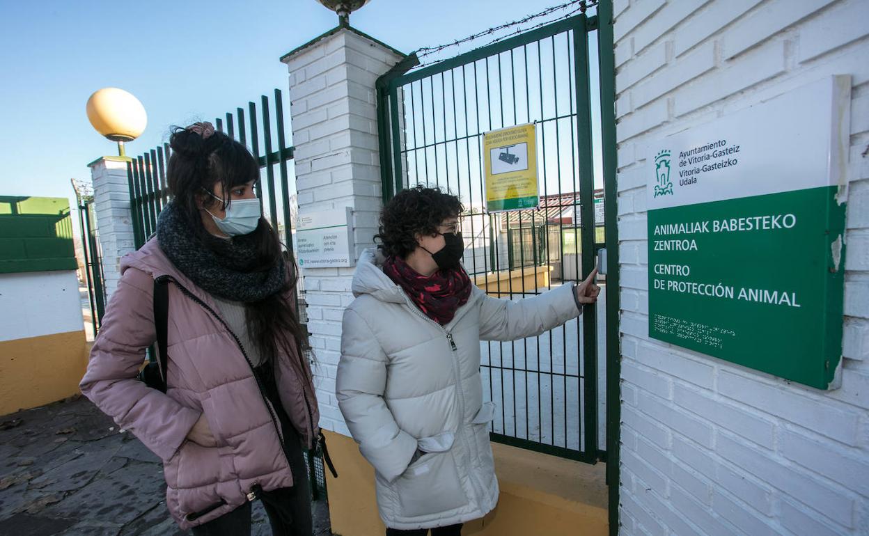 Nuria y Jessica, voluntarias de Apasos, llaman en la tarde de ayer al timbre del Centro de Protección Animal de Armentia.