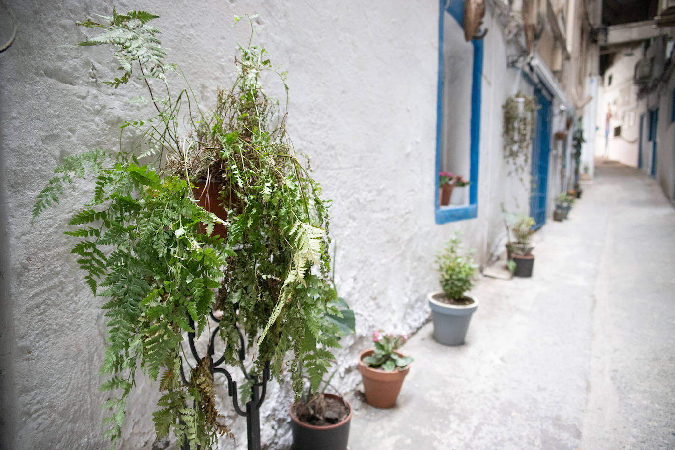 Fotos: El desconocido callejón de Bilbao lleno de arte y artesanía que recuerda a Santorini