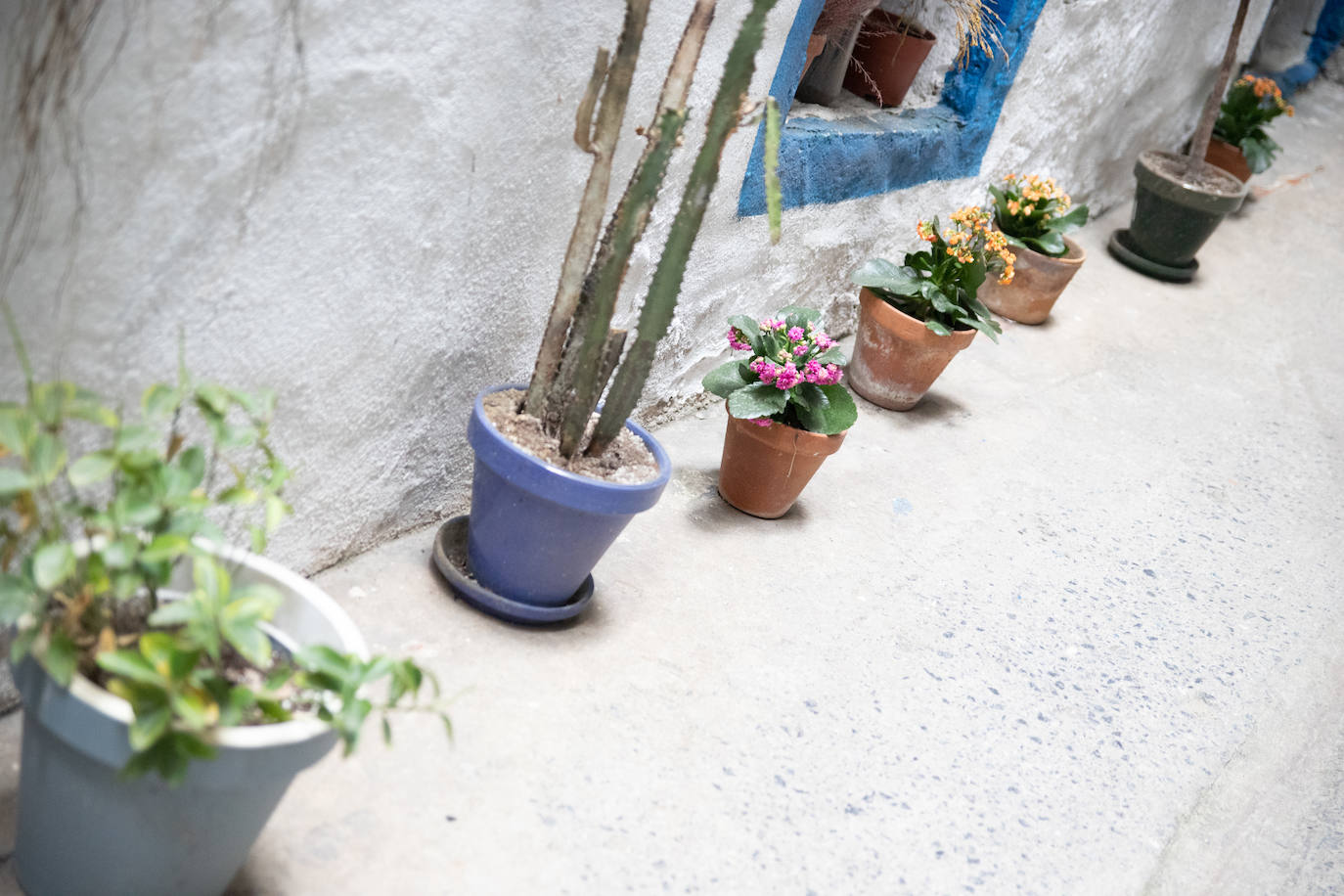 Fotos: El desconocido callejón de Bilbao lleno de arte y artesanía que recuerda a Santorini