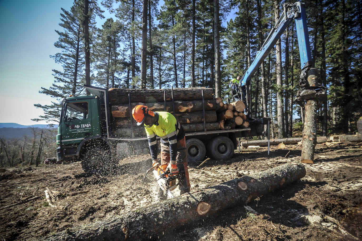 Fotos: Así trabajan los rematantes en Álava, uno de los oficios más duros que existen