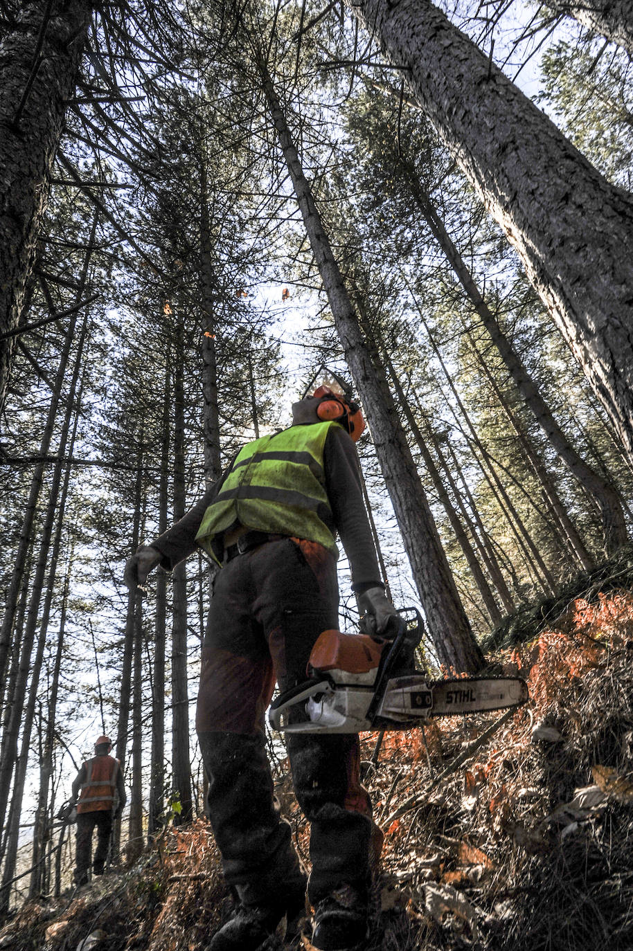 Fotos: Así trabajan los rematantes en Álava, uno de los oficios más duros que existen