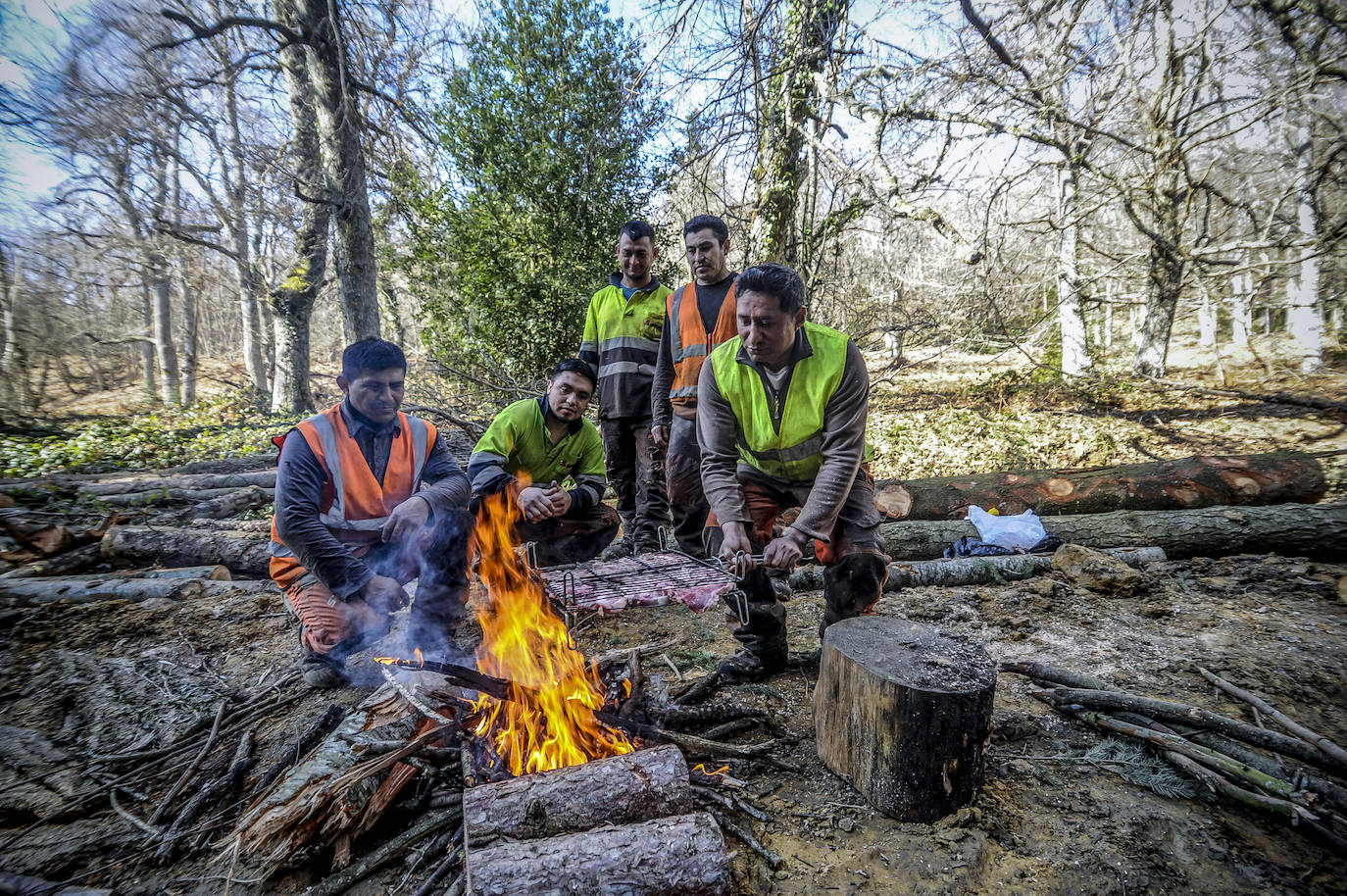 Fotos: Así trabajan los rematantes en Álava, uno de los oficios más duros que existen
