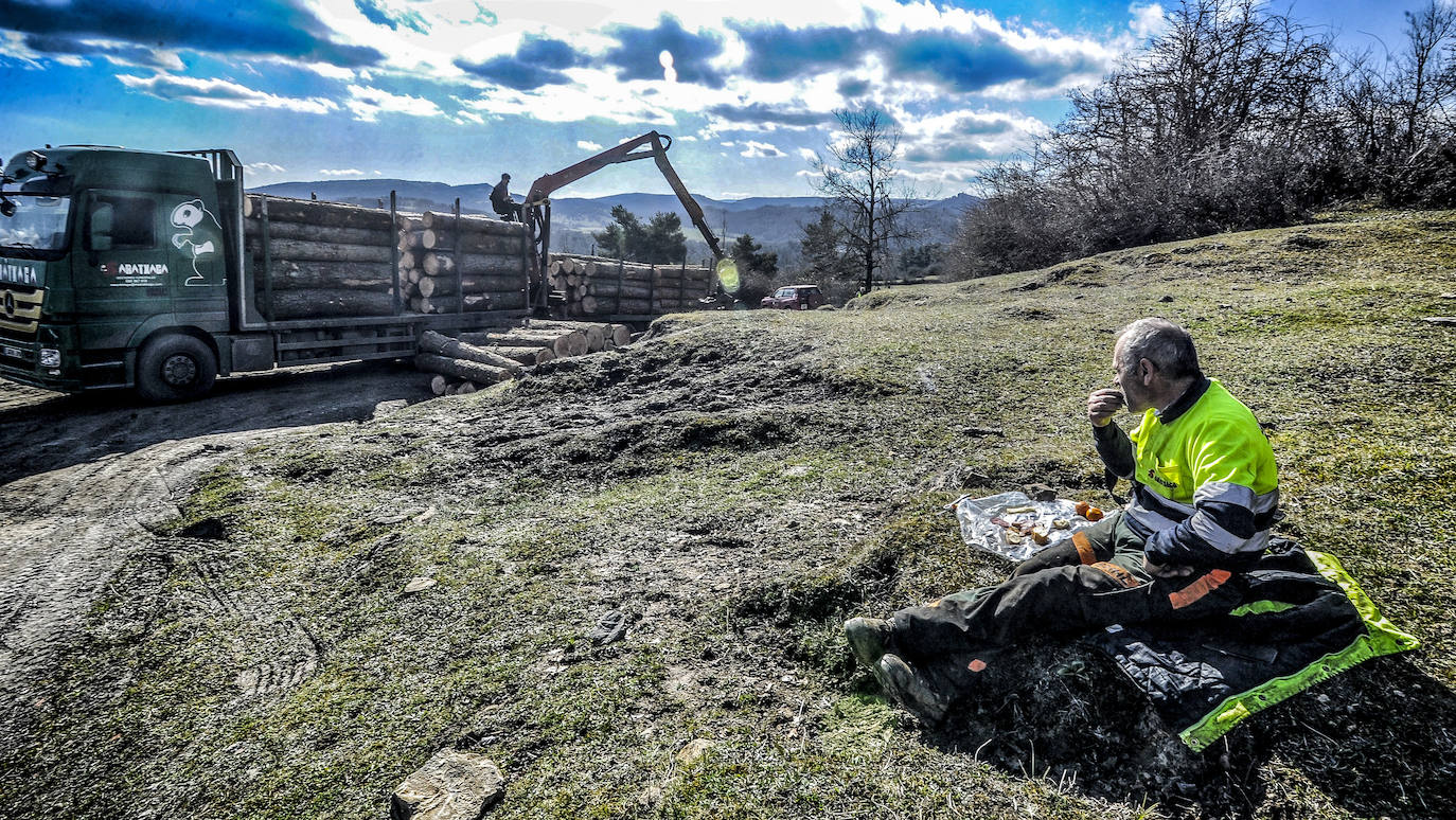 Fotos: Así trabajan los rematantes en Álava, uno de los oficios más duros que existen