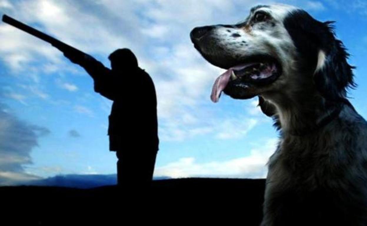 «Compañero te doy...»