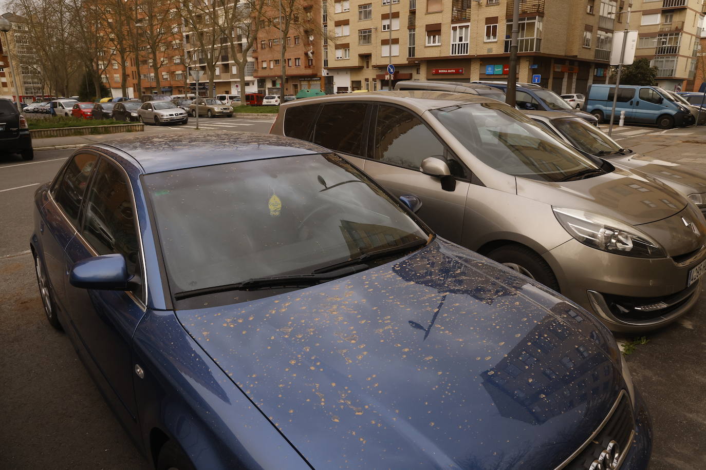 Fotos: La calima procedente del Sáhara cubre el cielo de Euskadi