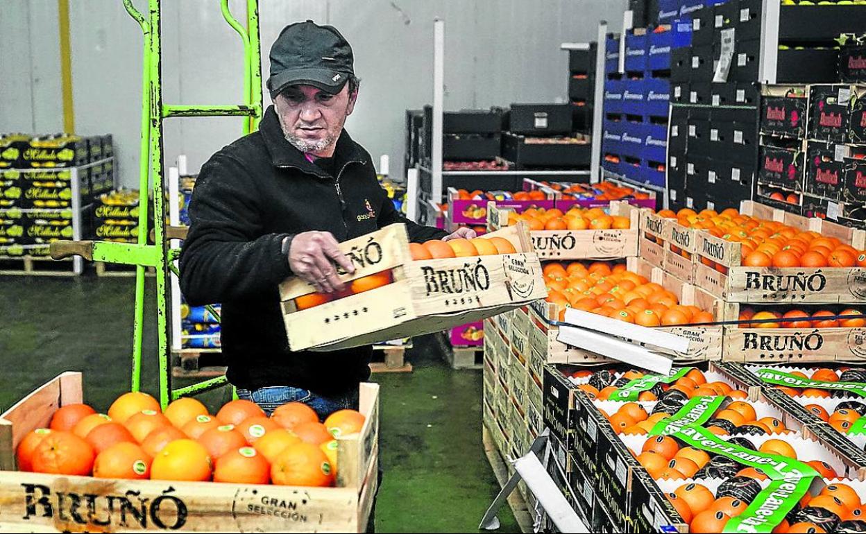 Palés con naranjas en el mercado de mayoristas de la Avenida de los Huetos.