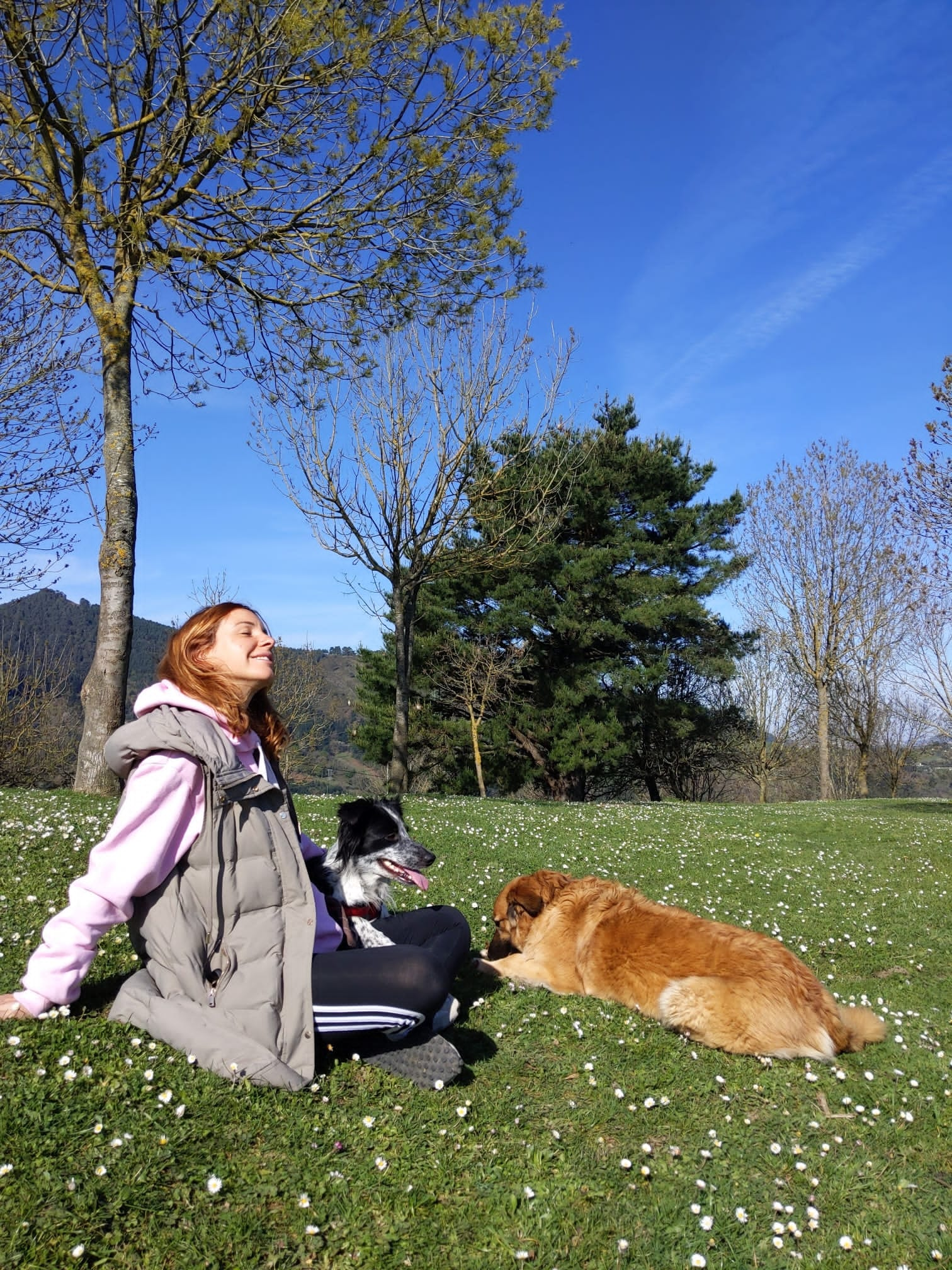 Fotos: La emotiva historia de Vega, una perrita adoptada por una fotógrafa bilbaína