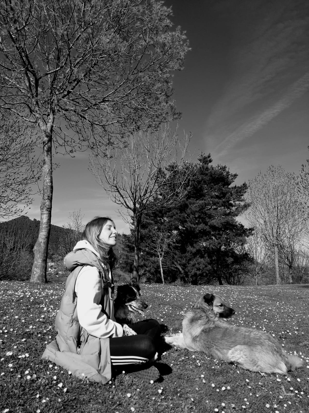 Fotos: La emotiva historia de Vega, una perrita adoptada por una fotógrafa bilbaína