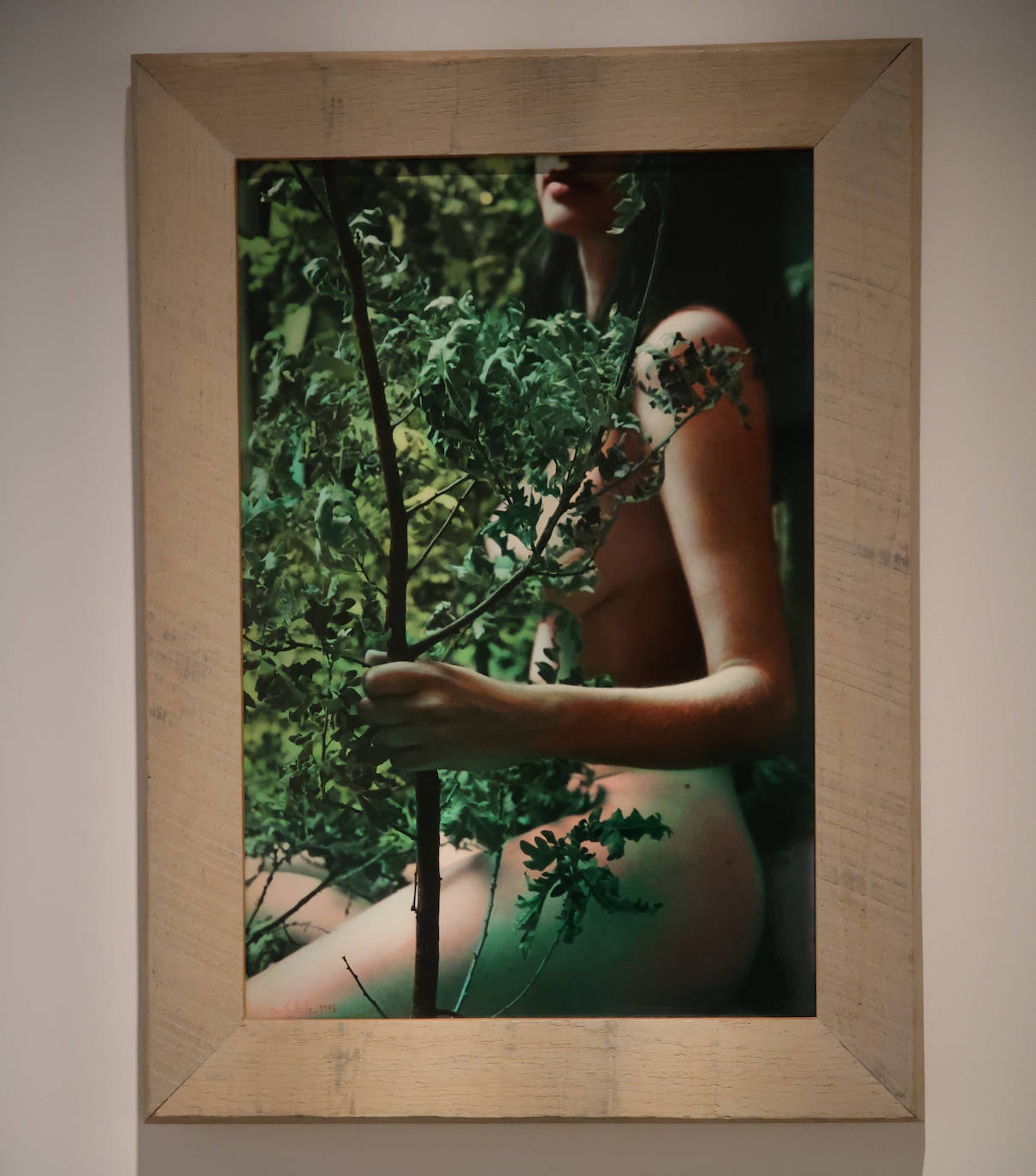 Fotos: La colección BBVA plantea un diálogo entre obras de arte