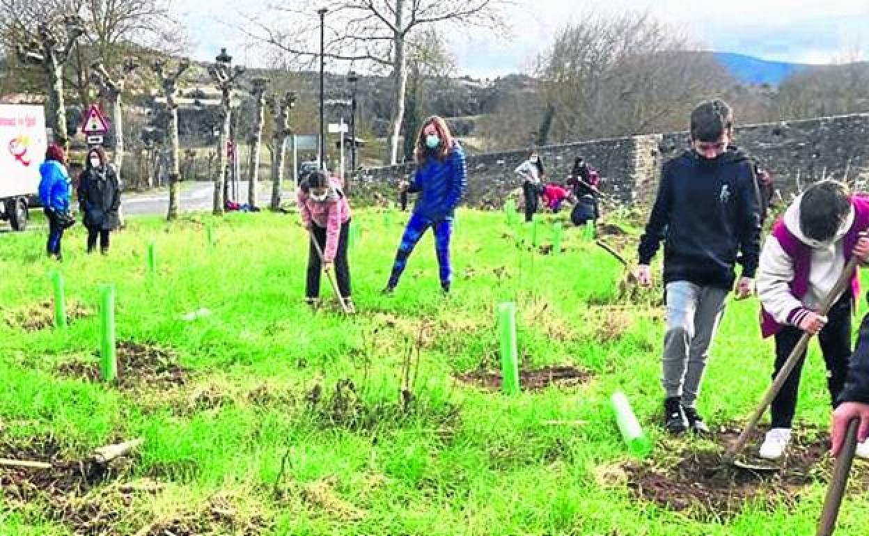 Alumnos de los institutos de Murgia y Nanclares plantaron una hectárea junto al puente de Víllodas. 