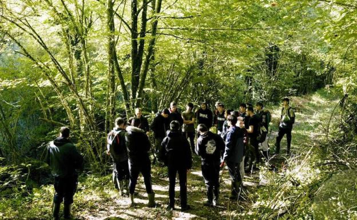 Colmenas, cajas nido y plantaciones mejorarán la biodiversidad de 15 concejos