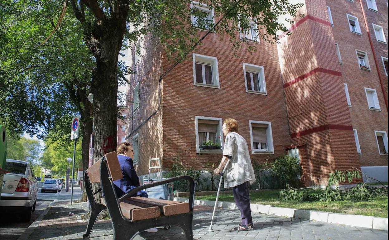 El hallazgo se produjo en un bloque del barrio vitoriano de Ariznabarra. 