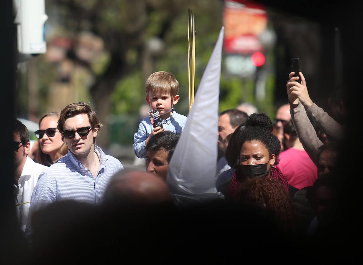 Fotos: La procesión del Borriquito triunfa en Bilbao
