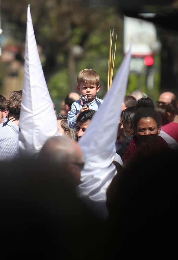 Fotos: La procesión del Borriquito triunfa en Bilbao