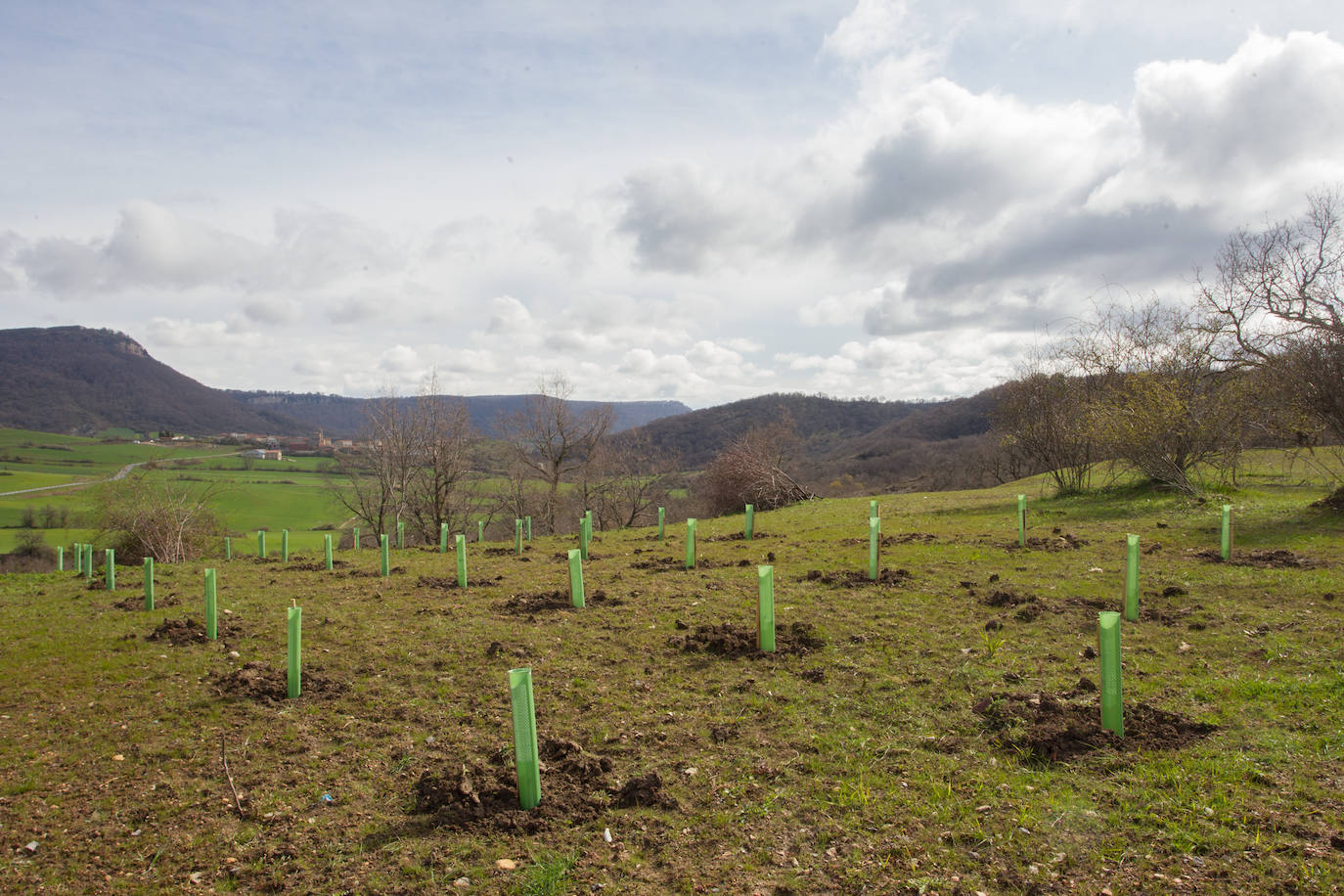 La antigua escombrera, ubicada entre Contrasta y Ullíbarri-Arana, será revegetada con especies como la encina y el quejigo. 