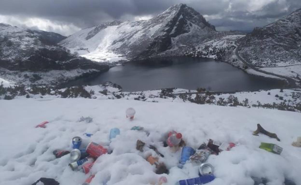 Basura encontrada en los Lagos de Covadonga. / ASTURIAS VERTICAL